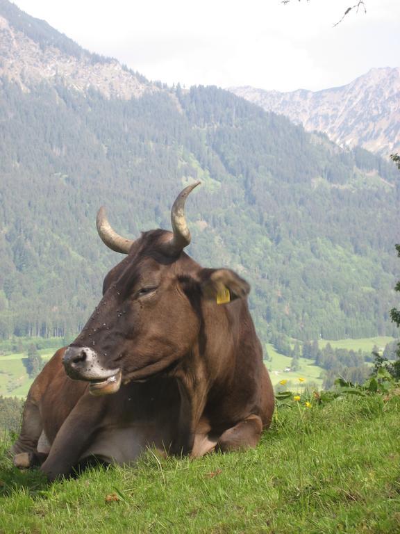 Ferienwohnungen Brunner Fischen im Allgaeu Eksteriør bilde